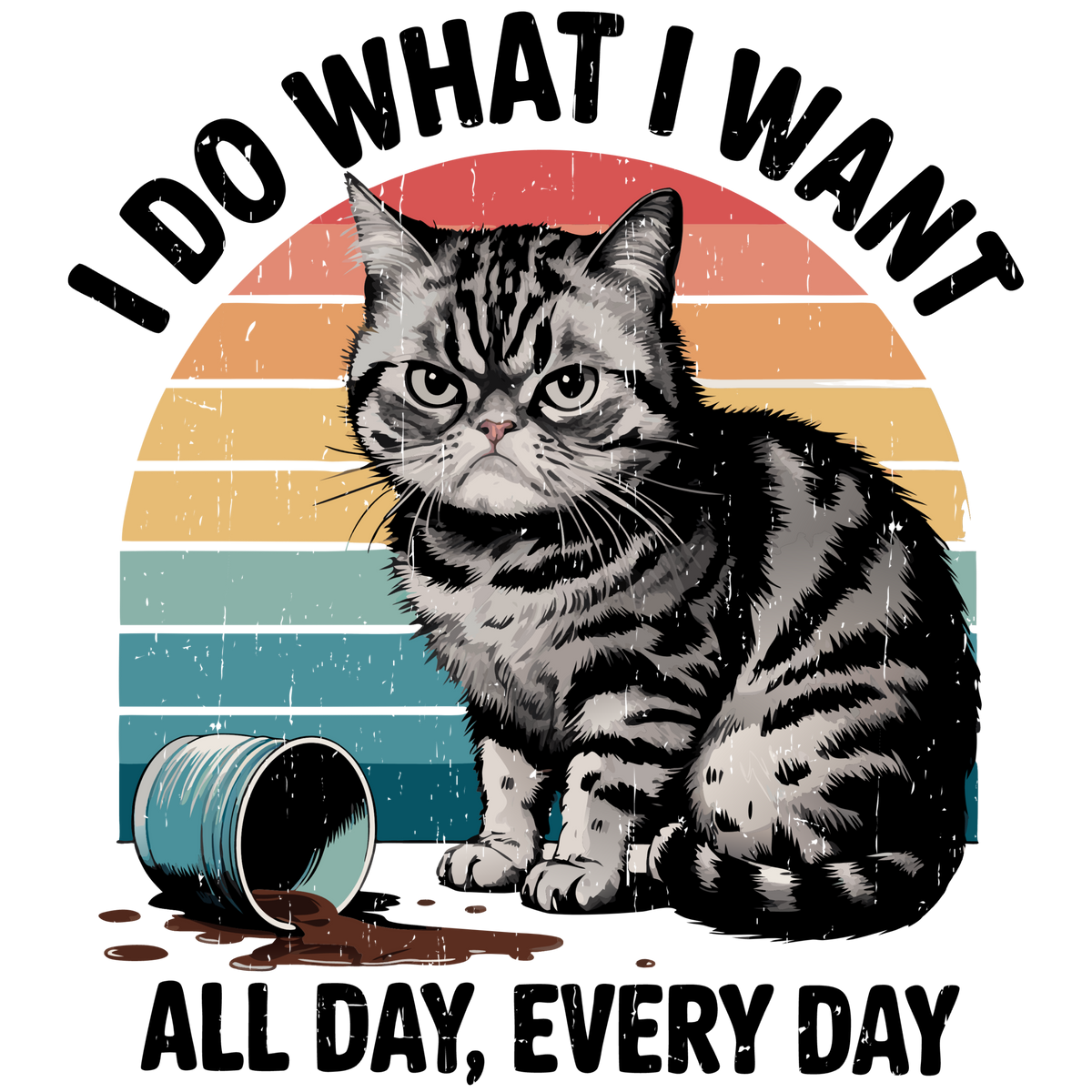 Messy Cat