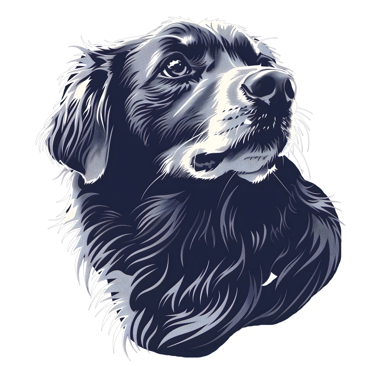 Silver Dog Portrait