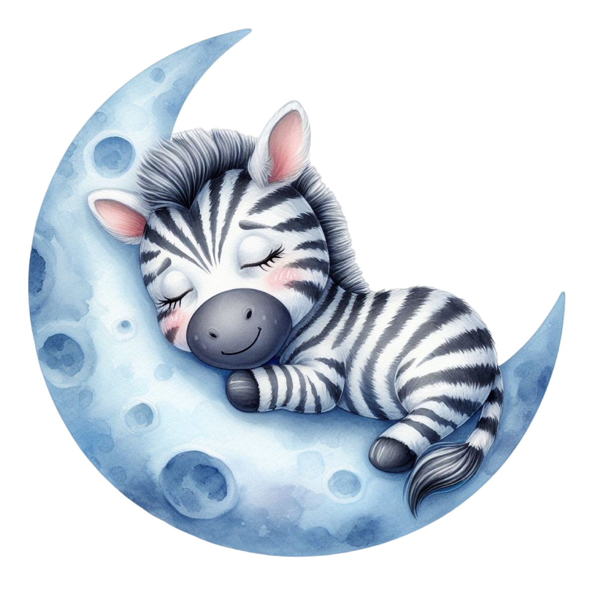 Zebra Dream